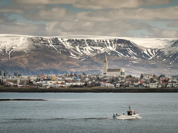 Reykjavik skyline with Hallgrimskirkja and Mount Esja