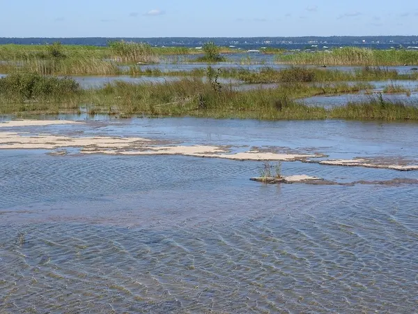 Lake Vรคnern, shoreline
