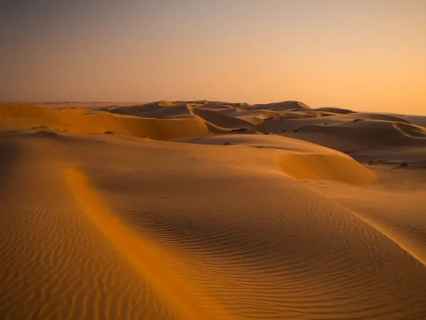 Wahiba Sands, golden dunes