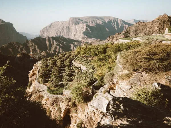 Jebel Akhdar, terraced gardens at sunrise