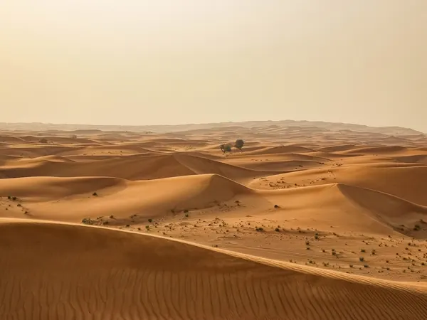 Desert dunes near Dubai