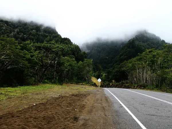 Carretera Austral through the Aysén rainforest