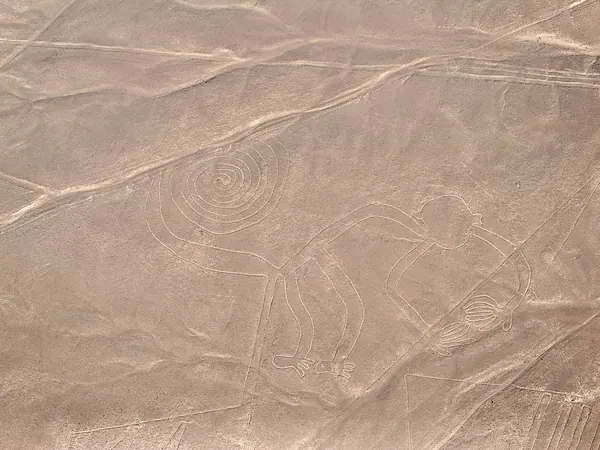 Nazca Lines, spiral and monkey geoglyphs from the air