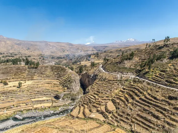 Colca Valley terraces near Chivay