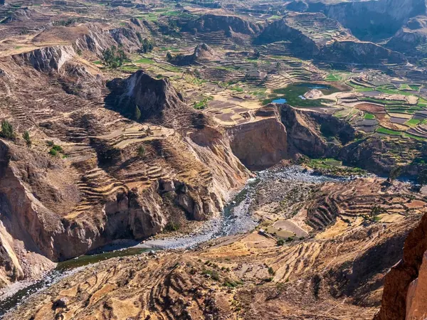Colca Canyon, terraced slopes from above