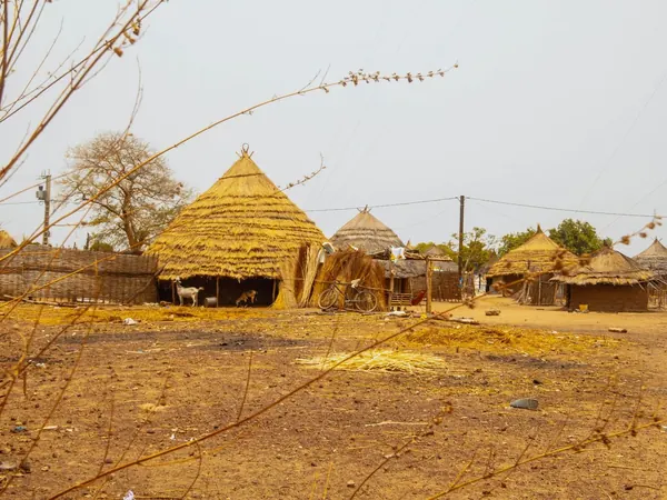 Rural village near Kolda (Fouladou region)