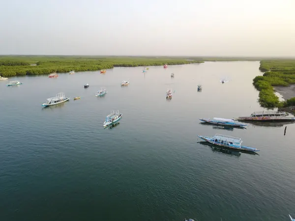 Pirogues on the Gambia River