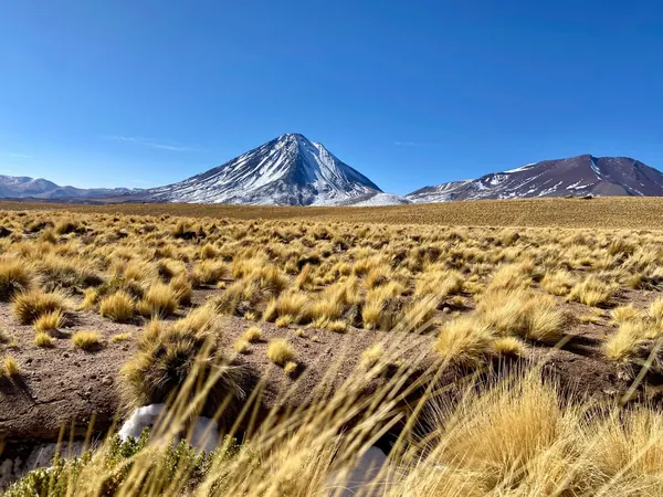 Licancabur volcano above the altiplano near San Pedro de Atacama