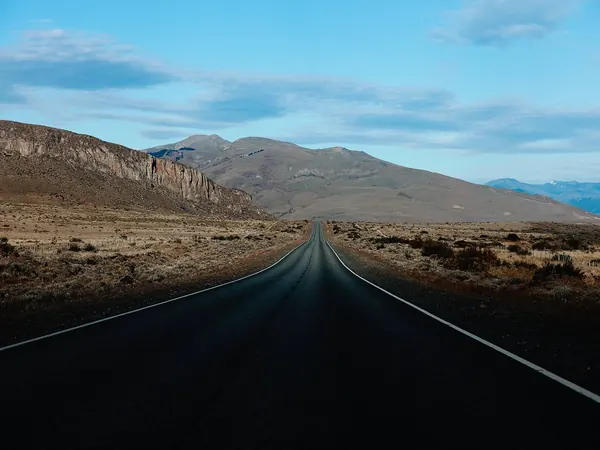 Road through the steppe near El Calafate