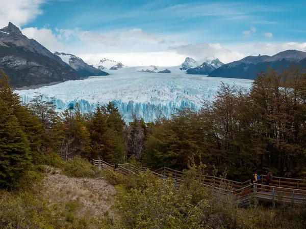 Perito Moreno glacier from the forest walkways