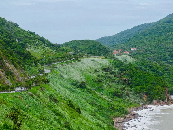Coastal mountain road near Da Nang (Hai Van pass area)