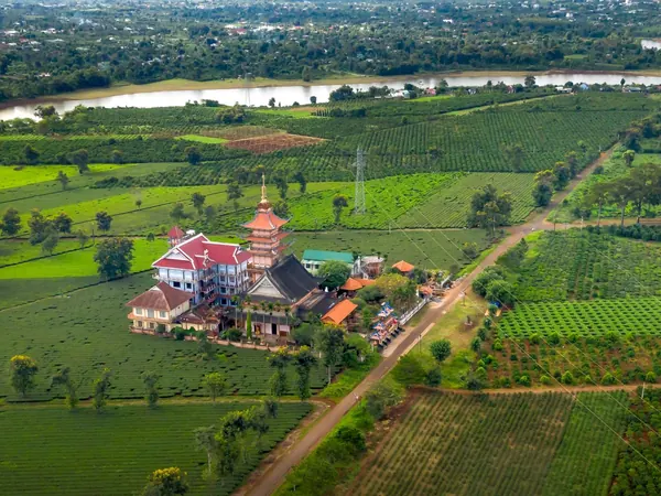 Farmland and pagoda in Gia Lai, Central Highlands
