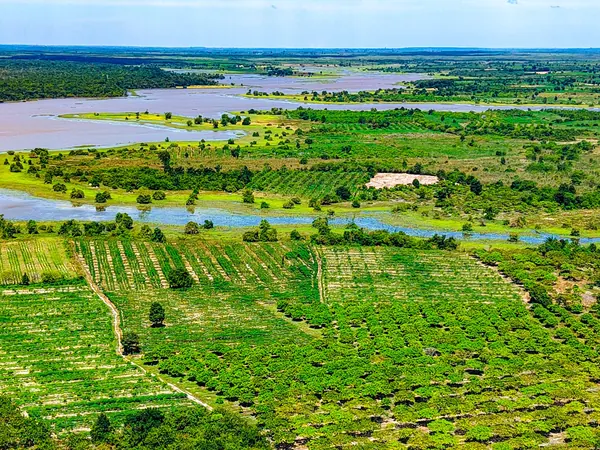 Plantations and rivers in the Cambodian countryside