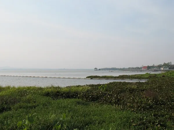 Phayao Lake (Kwan Phayao)