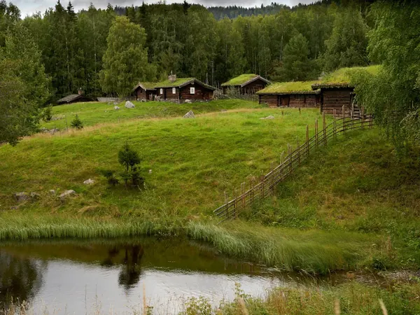 Lillehammer area, traditional turf-roofed log farmhouses