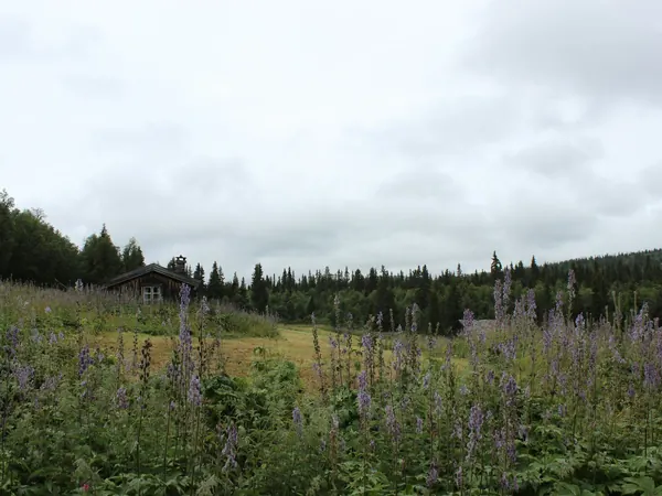 Gudbrandsdalen valley from Venabygd (Ringebu)