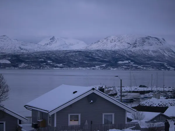 Narvik, houses above the Ofotfjord