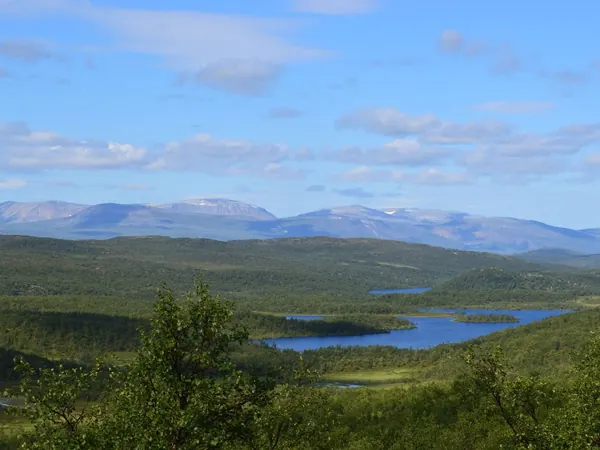 Porsanger tundra landscape (Porsangmoen)