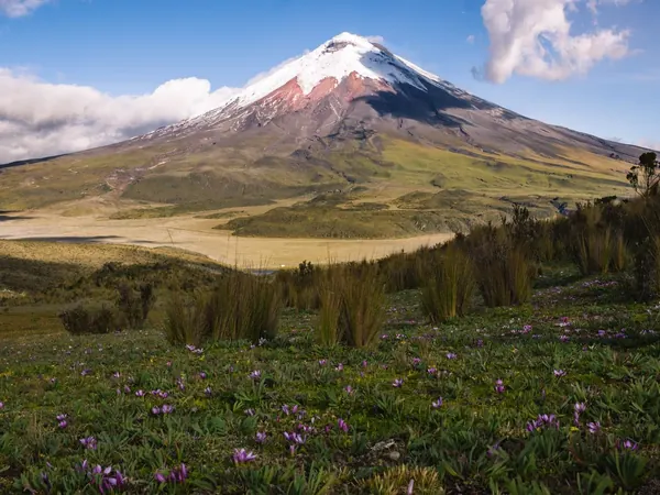 Cotopaxi volcano, Avenue of the Volcanoes