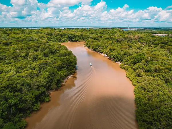 Muddy Amazon tributary through the rainforest (Madeira region; no free photo of Humaitรก exists)