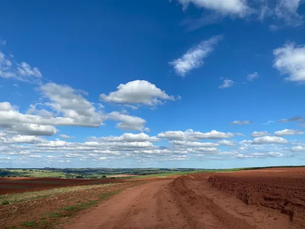 Red dirt road through cleared land in the Brazilian interior, typical of the BR-230