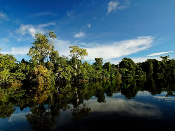 Rainforest river in the southern Amazon, Tapajรณs basin (Alta Floresta; no free photo of Jacareacanga exists)