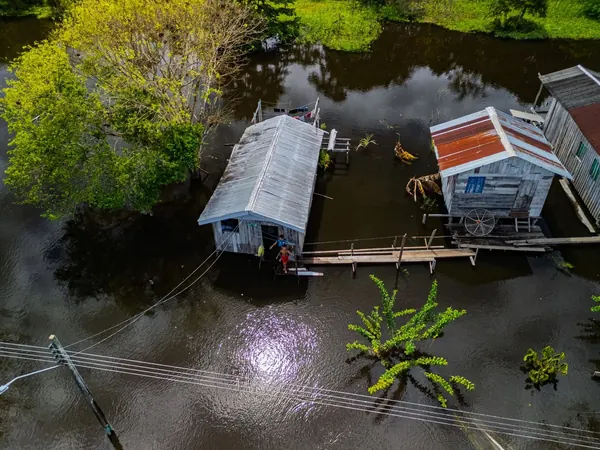 Riverside stilt houses of an Amazon river community, Amazonas