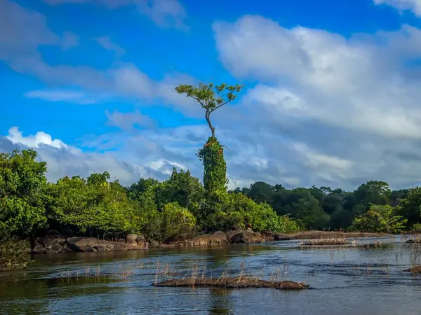 River rapids in the Oiapoque region, Amapรก