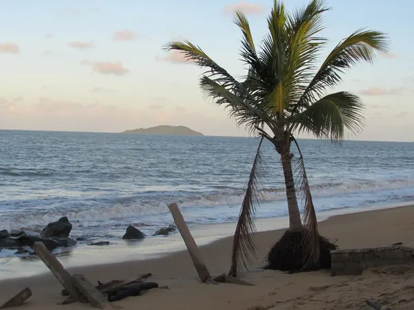 Cayenne, Bourda beach