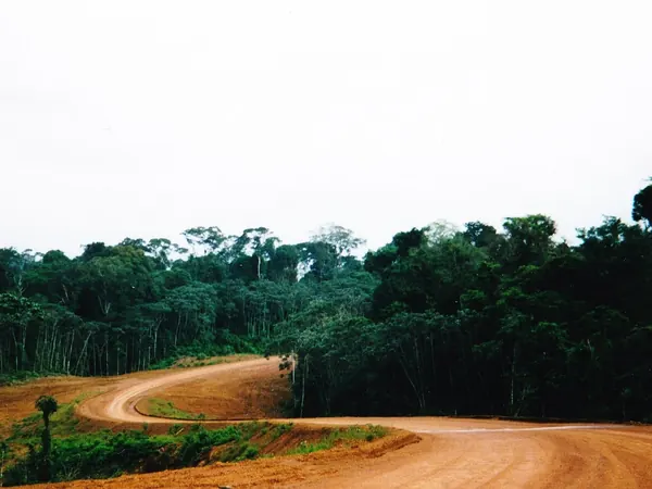 Road through the rainforest towards Saint-Laurent-du-Maroni