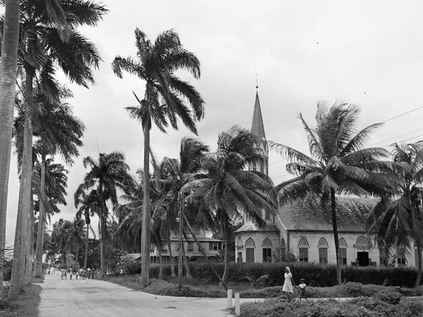 Nieuw Nickerie, palm-lined street and Protestant church (historic 1950s photo; no modern free photo exists)