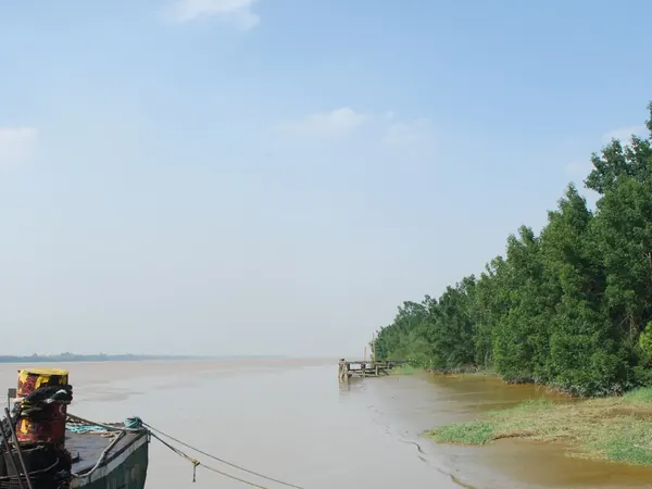Demerara river at Georgetown