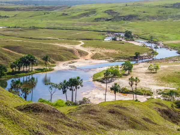 Gran Sabana at San Francisco de Yuruanรญ
