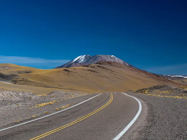 High-altitude road across the Atacama puna towards the Jama pass