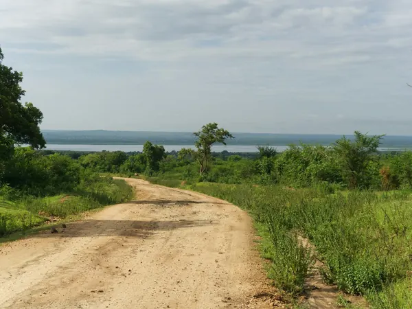 Dirt track through Murchison Falls National Park