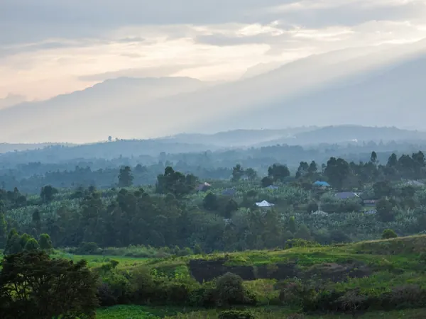 Green hills near Fort Portal and the Rwenzori foothills