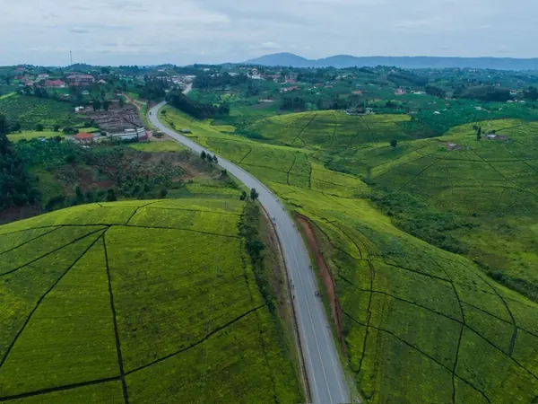 Road winding through the green hills of western Uganda